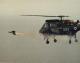 Waspie's Avatar